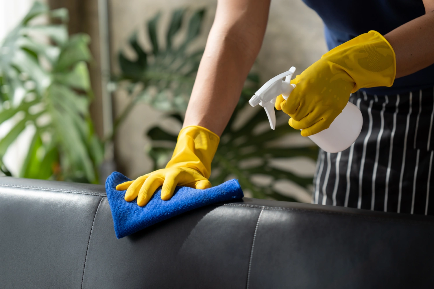 Modern Apartment Deep Cleaning