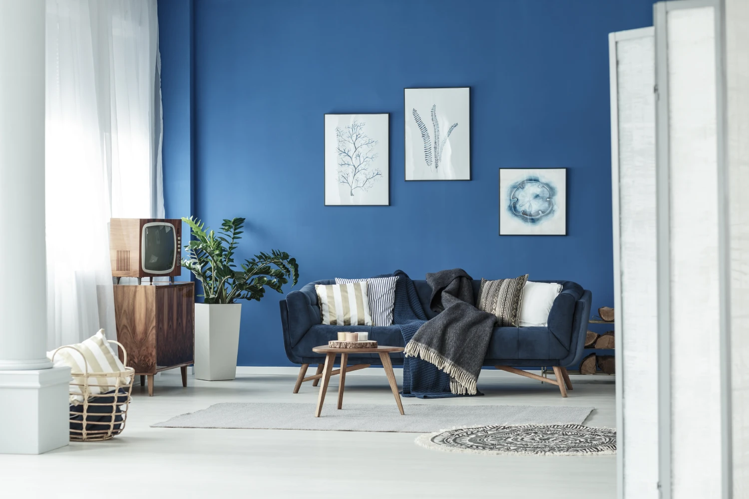 Interior Painting Project